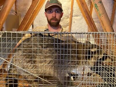 Providence pest control
